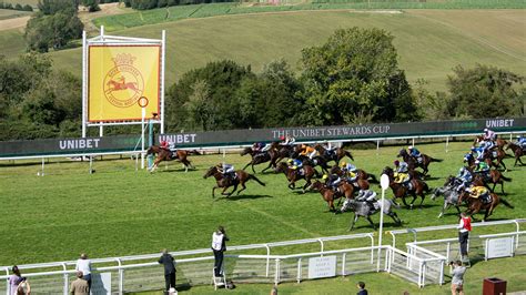 betting tips for goodwood today - goodwood qualifying bets